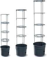 Prosperplast tomatplantakrukor med spaljé – Kraftig plastkruka | Antracit | Väder- och UV-beständig | 29,5 x 115,2 cm | Perfekt för trädgården och terrassen