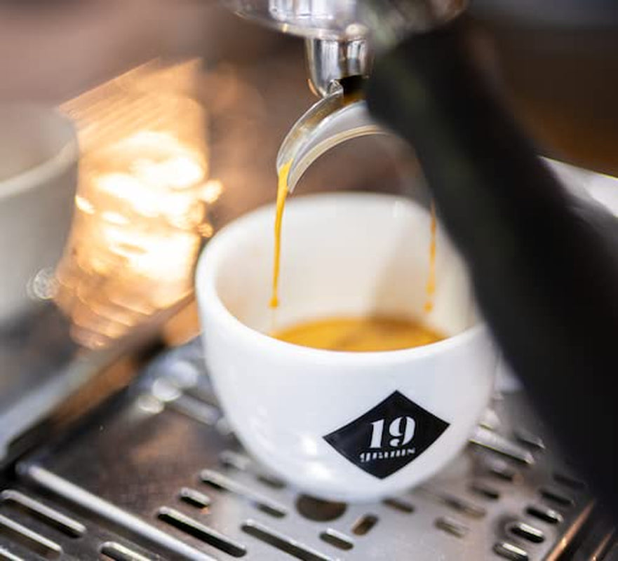 Wild At Heart Espresso | 250g Bohnen gås mäss & hållbar | frisch geröstet | 100% Arabica Kaffeebohnen | specialkaffe | 19 gram Kaffeerösterei