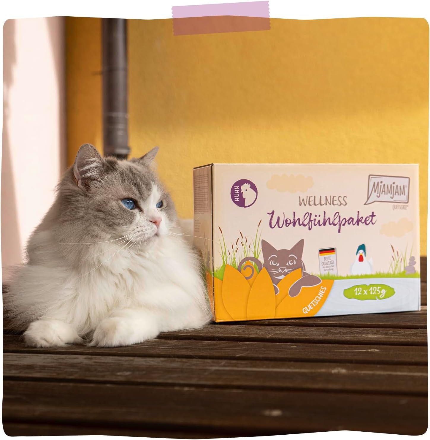 MjAMjAM - Premium Wet Cat Food - Kyckling Wellness Pack 12-pack (12 x 125 g) Spannmålsfri med extra kött