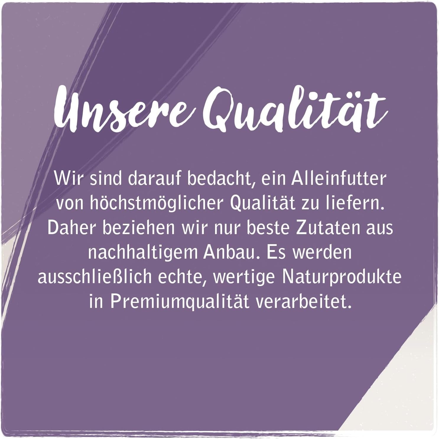 Venandi Animal - Premium Wet Cat Food - Horse as Monoprotein, förpackning om 12 (12 x 125 g), Spannmålsfri, Monoprotein