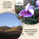 Herbaria Safran-Fäden bio 0,5g im Glas – Bio Saffron-Fäden aus dem bereicht Safran-Ort Taliouine i Marokko – Safranfäden in Premium Bio-Qualität – Saffron Premium - Safran première catégorie