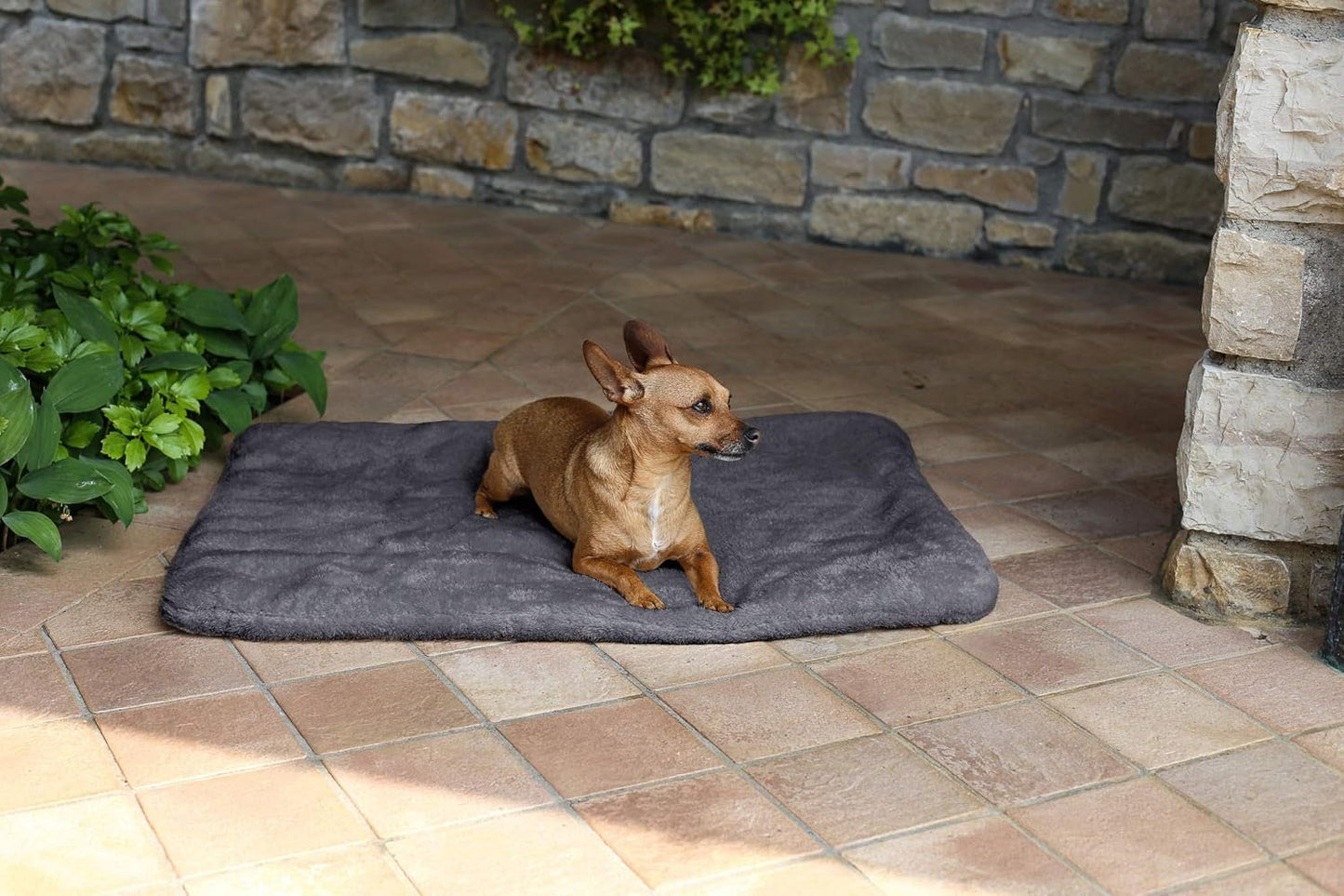 Sogni E Capricci Super Soft Mat, Kräm, 104X75CM, Polyester, Täcken och täcken Naty Shop Grå 62X50Cm