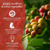 SENSEO Café corsé - 54 dosetter