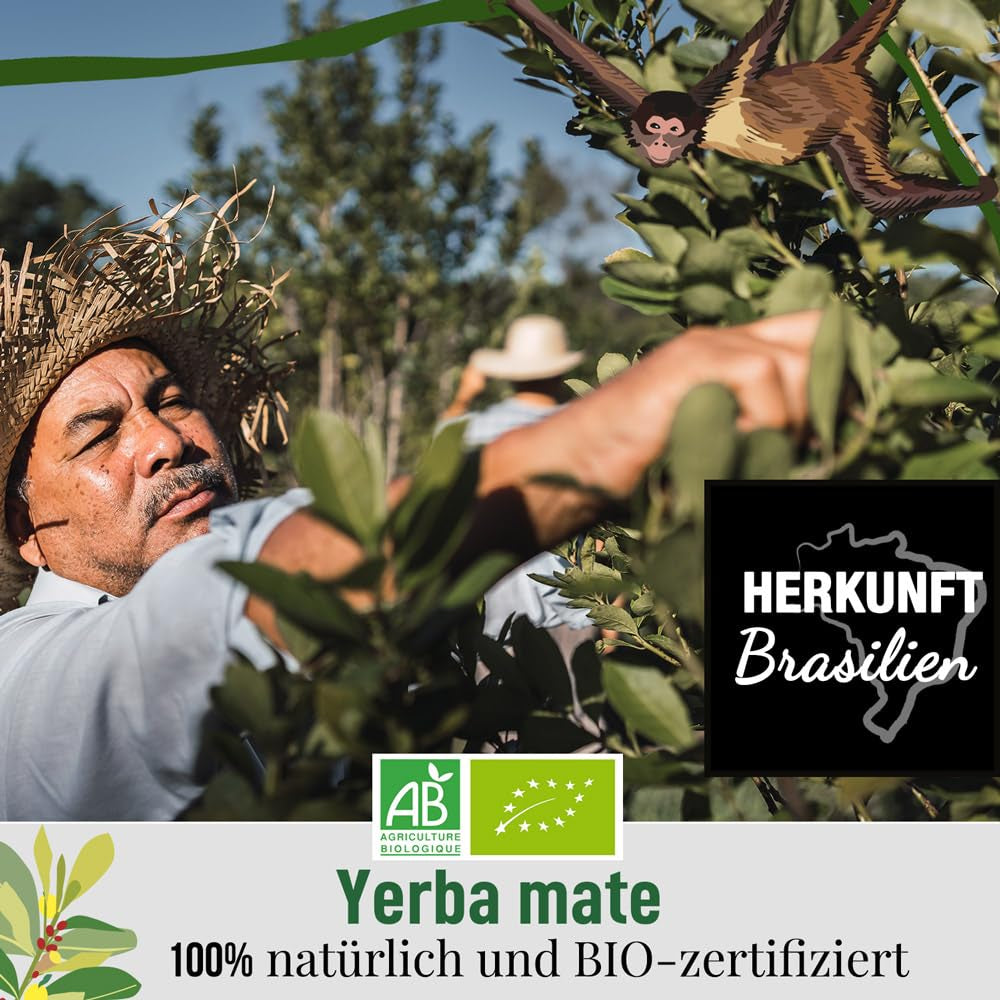 ORIGEENS BIO YERBA MATE MED CITRON OCH INGEFÄRA 200 G - Det energigivande teet I Ekologiskt Yerba Mate-te, orostat, blad, utan stjälkar och damm