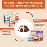 Wellness CORE Signature Selects 8 x 79 g, kyckling- och kalkonblandning - våt kattmat, läckra strimlor i sås, spannmålsfria, naturliga, allergivänliga, proteinrika, mycket kött