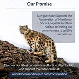 Blooms & Leopard Premium gröna tepåsar - Berry Borealis Blend med Hibiscus, Blueberry, Strawberry and Spearmint - 20 Pyramid tepåsar för varmt eller kallt te