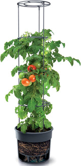 Prosperplast tomatplantakrukor med spaljé – Kraftig plastkruka | Antracit | Väder- och UV-beständig | 29,5 x 115,2 cm | Perfekt för trädgården och terrassen