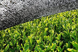 Matcha BIO pulver 100 g I Inga tillsatser - 100% naturligt I Premium japanskt matcha te I grönt te-pulver från