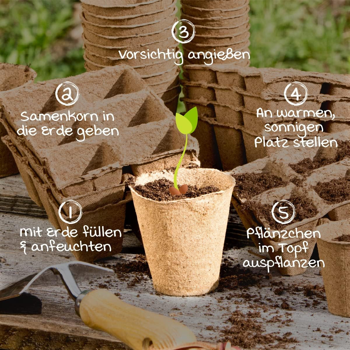 Windhager plantkrukor, 48 stycken, diameter 8 cm, brun, utan torv, 04343
