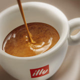 Illy Arabica Selection Guatemala kaffebönor för malning, kartong 250g