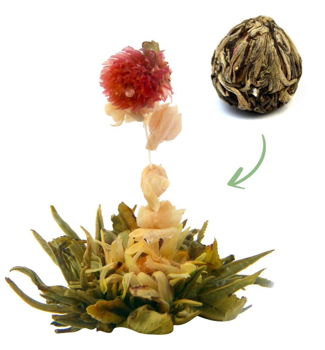 "TRE BLOMMOR" teblommor 1 tebit | Grönt teblad - Ringblommor - Europeiska vattenkrasseblommor | Idealisk för teälskare Grönt te Blomsterte | 6G