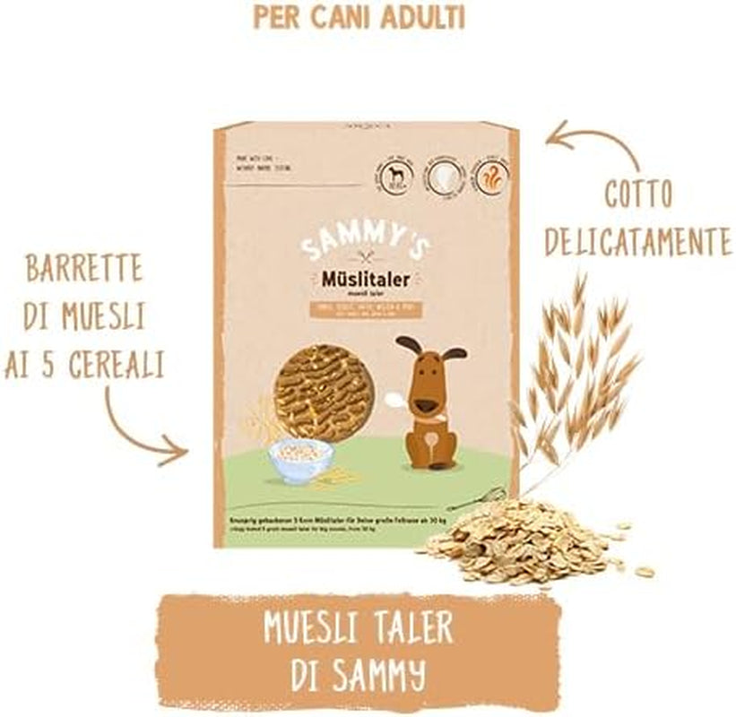 Sammys müslimynt | Krisiga bakade snacks för hundar | 5 kornmüslimynt till din stora lurviga vän (30 kg+) | 1 kg