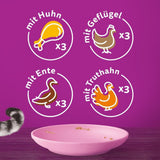 WHISKAS Junior våtfoderpåsar, multipack, urval av fjäderfäkött i gelé, 12 x 85g