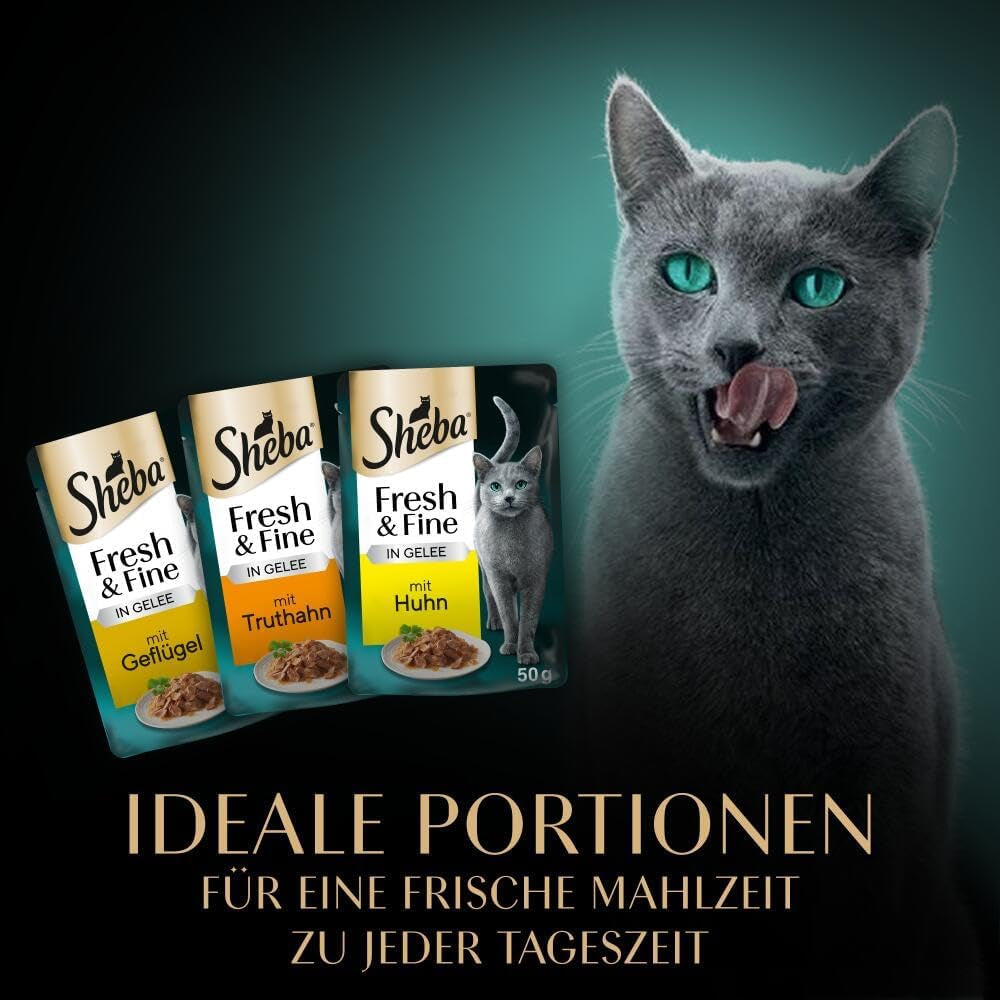 Sheba portionspåsar våtmat för katter, färsk & fin kalkon- och kycklinggelé Multipack, 6x6x50 g - högkvalitativ kalkon- och kycklinggelékattmat