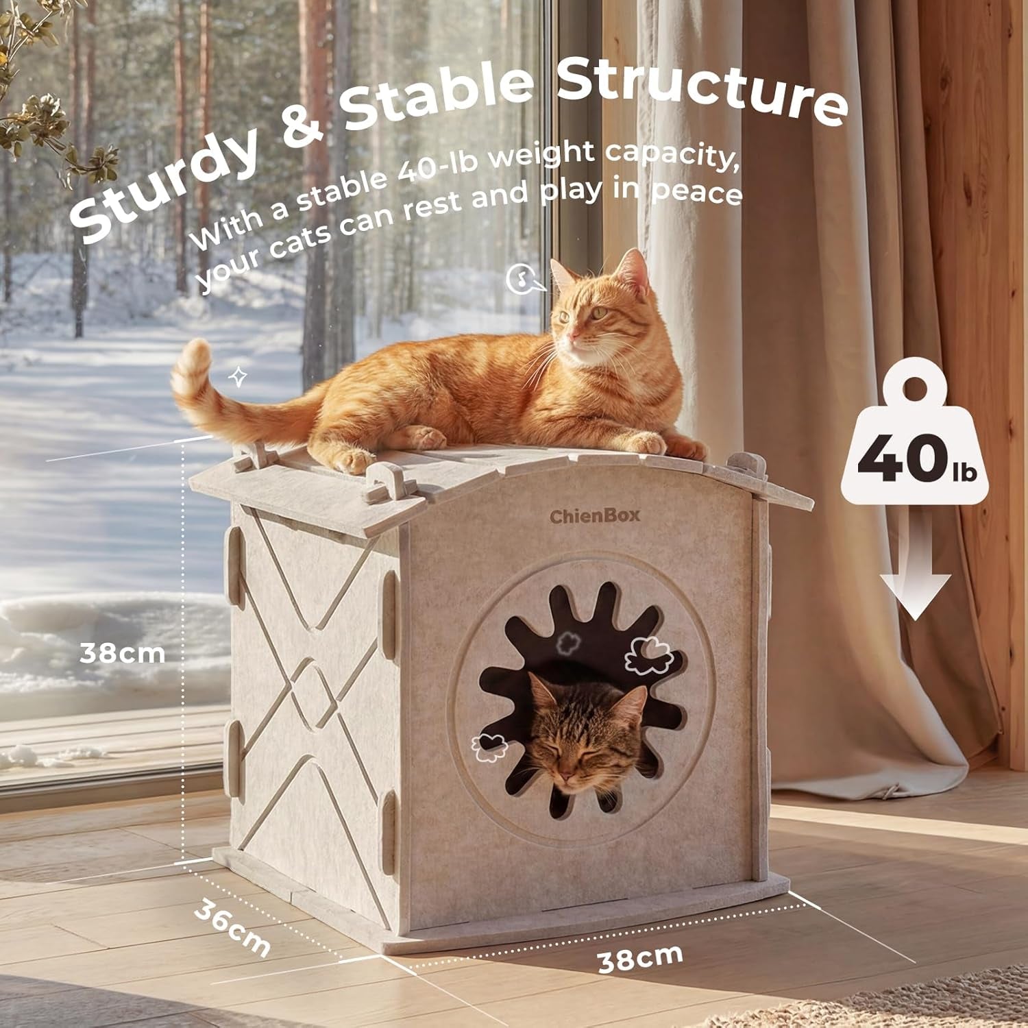 Katzenhaus Indoor från Filz: Warmes Und Gemütliches Katzenbett, Katzenhöhle mit beruhigendem Kratzbogen, Robuste & Kratzfeste Katze Höhle, Abnehmbares Katzen Bett, Katzen Haus 38 x 36 x 38cm