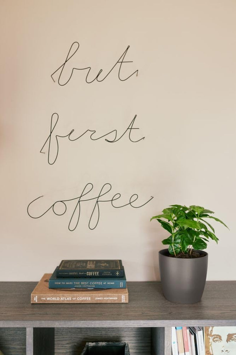 elho The Coffee Collection, rund inomhuskanna, 18 cm, gjord av kaffesump och återvunnen plast - brun/espressobrun