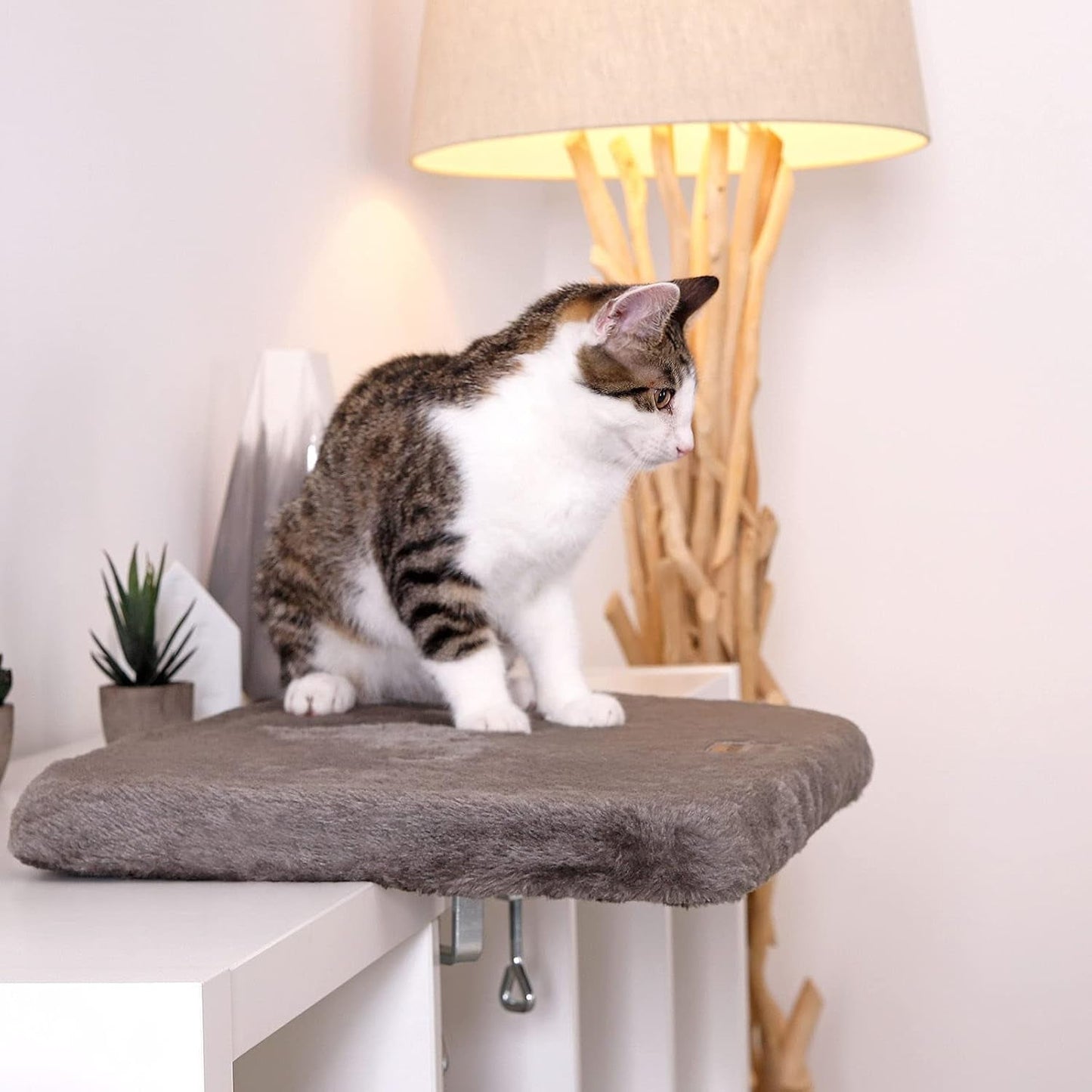 Filtar och möbler, Fönsterstolar, Husdjur, Katter, Sängar för katter, Katter - sängar, madrasser