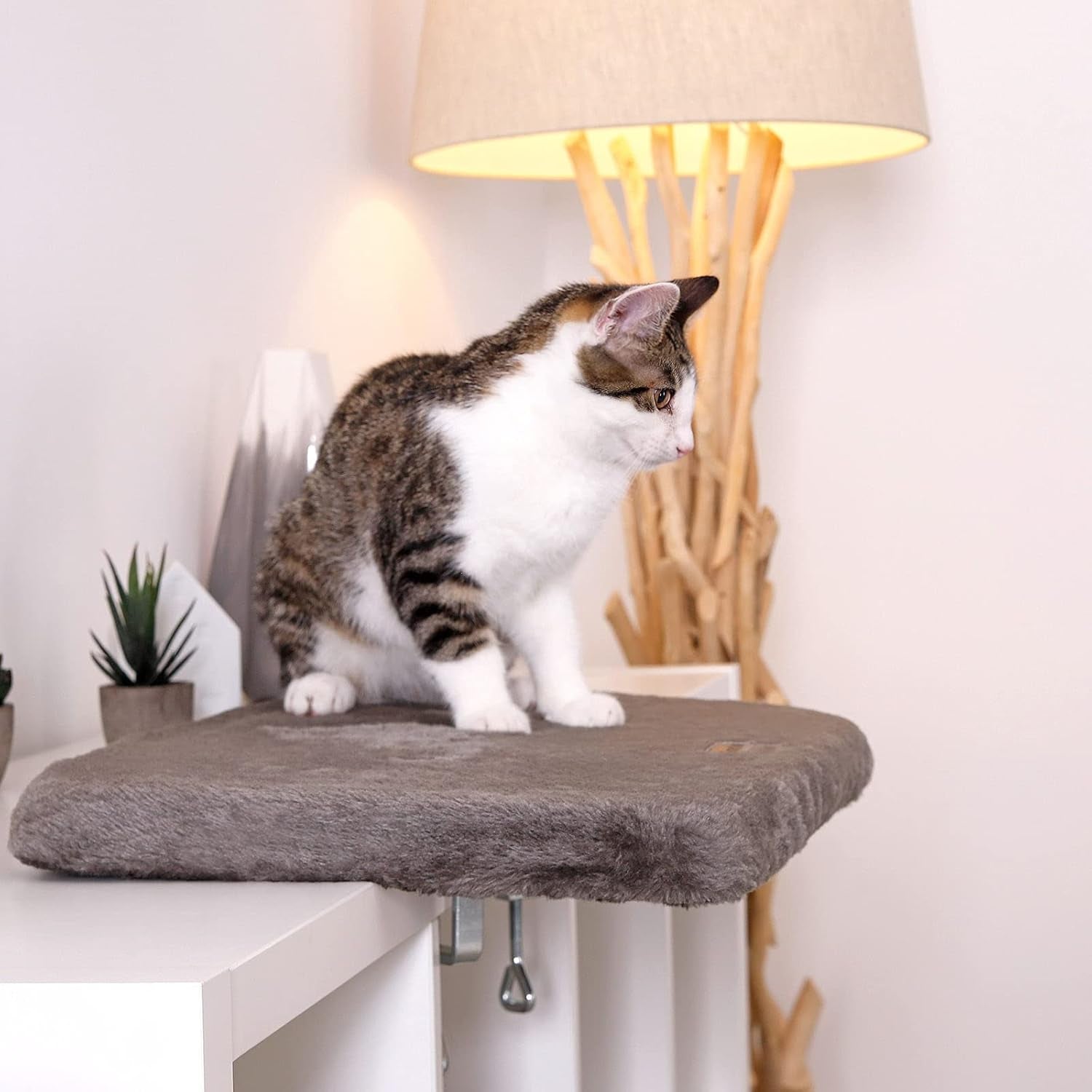 Filtar och möbler, Fönsterstolar, Husdjur, Katter, Sängar för katter, Katter - sängar, madrasser