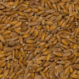 Wholefood Earth Ekologiska dinkelkorn – 3 kg | Icke-GMO | Vegan | Rik på fibrer | Certifierad ekologisk
