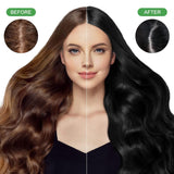 Instant Black Hair Shampoo, Natural Hair Dye Shampoo, 100 % Grey Cover - Enkelt och snabbt, Semi Permanent Color for Black Hair, Hårfärgning Shampoo för män och kvinnor Hårfärg Naty Shop