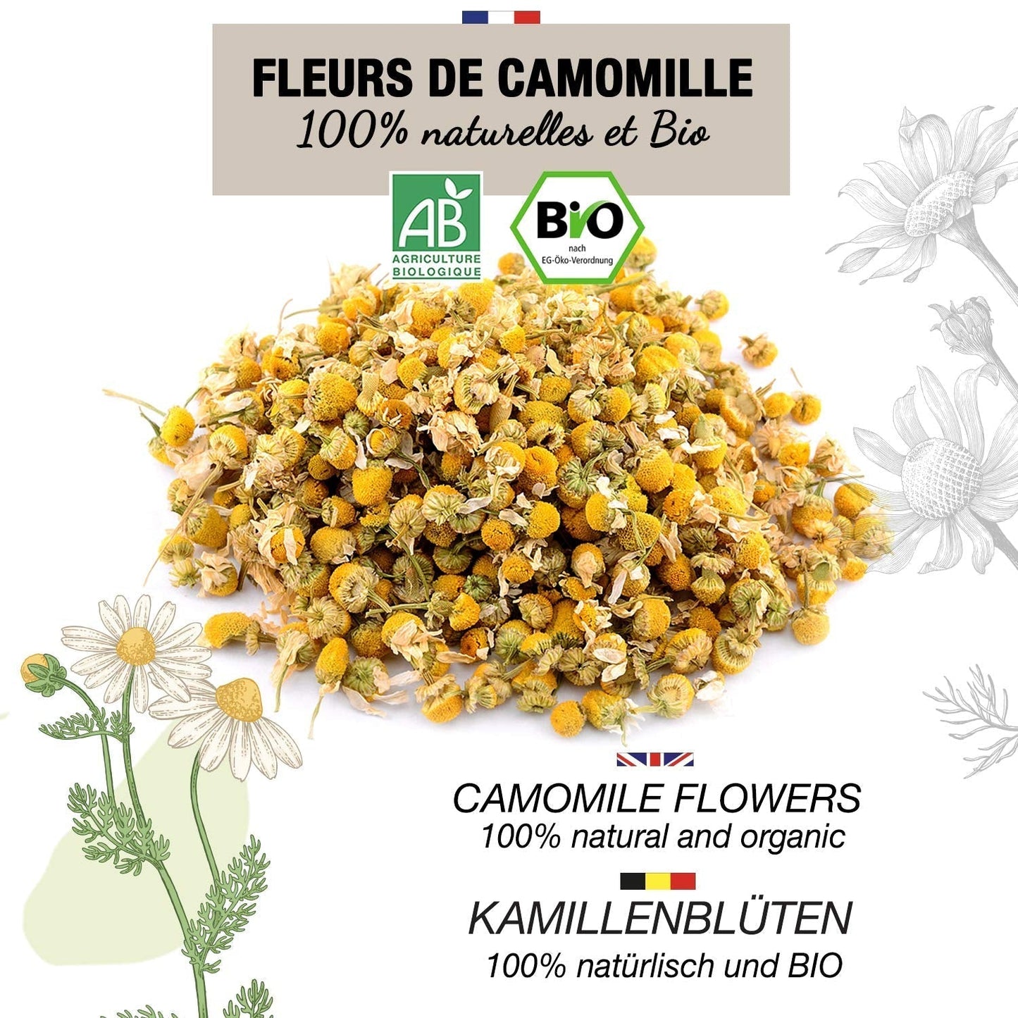 ORIGEENS Ekologiskt kamomillblommate från Europa, 100 g | Lösbladste, ekologiskt te för sömn och matsmältning | Tysk kamomill | Certifierad och förpackad i Tyskland