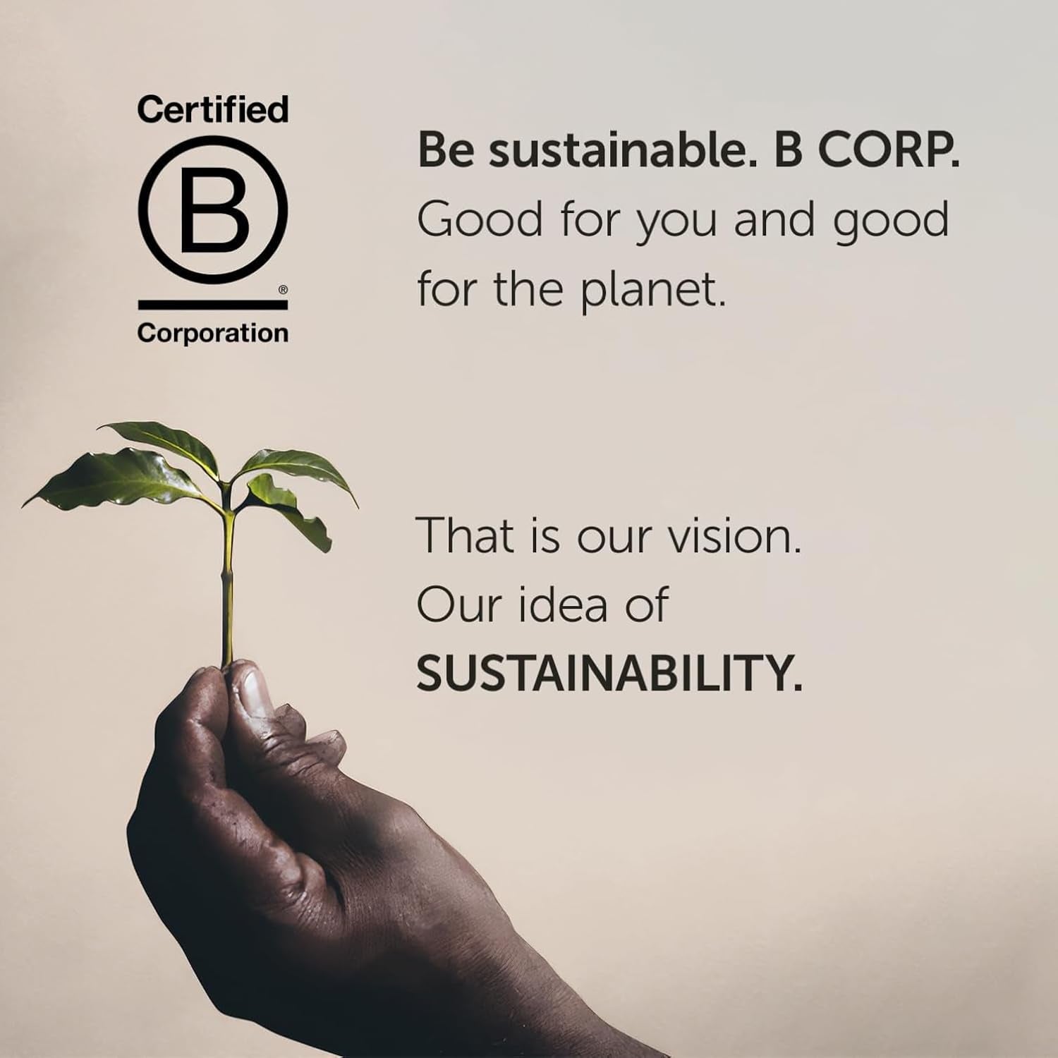 illy, kompatibel aluminium-kaffeekapseln CLASSICO, 100 % Arabica med toner av apelsinblommor och jasmin, söt smak och söt eftersmak, 10 förpackningar med 10 kapslar (100 totalt)