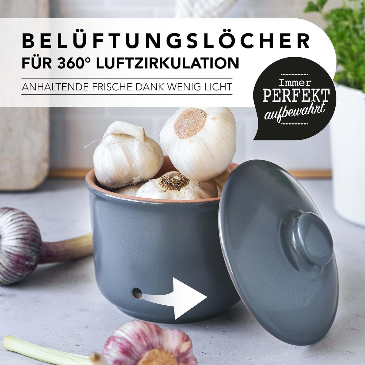 Römertopf vitlökspotta färsk kruka gjord av naturlig lera för lång hållbarhet av mat som vitlök Ø 12,5 cm vit Matförvaringslådor Naty Shop