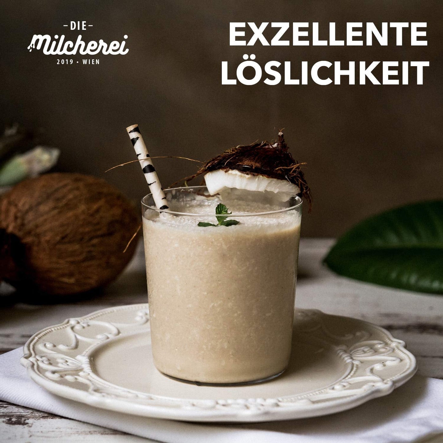Kokos-Nuss-Milch-Pulver MILCHEREI Coconut Shake Curry Thai 800g