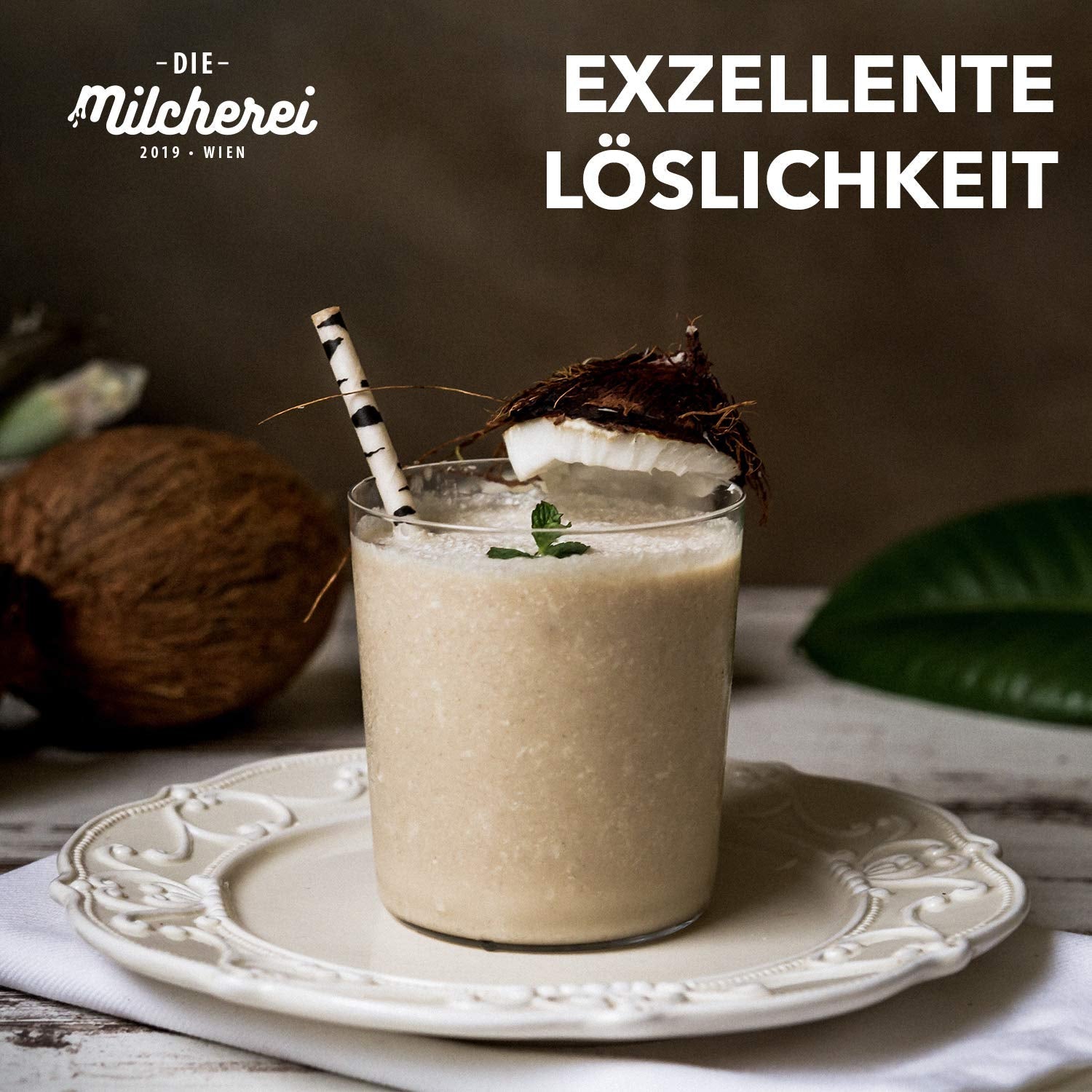 Kokos-Nuss-Milch-Pulver MILCHEREI Coconut Shake Curry Thai 800g