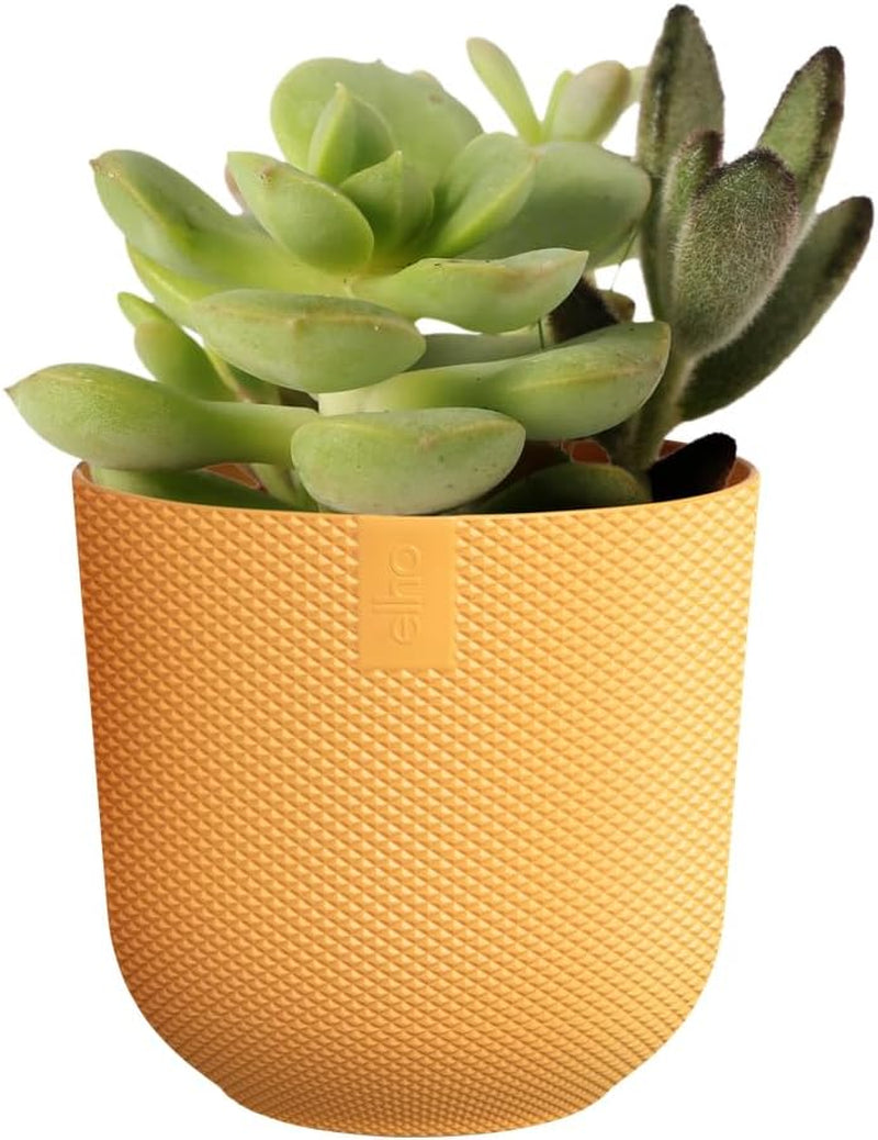 elho Jazz Round Mini 7cm - Blomkrukor för inomhusbruk - 100% återvunnen plast - Ø 7 x H 6,5 cm - Gul/Amber