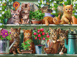 Ravensburger Puzzle 12000205 - Katzen Im Regal - 500-bitars pussel för vuxna och barn över 10 år, kattdjurspussel Pussel Naty Shop Ny design