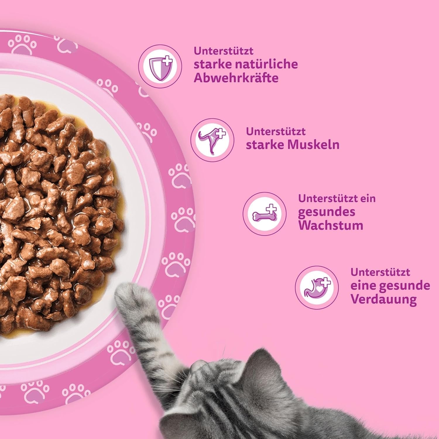 Whiskas Junior Classic Selection våtfoder för katter i sås, 48 ​​påsar, 12 x 85 g (paket med 4) - Högkvalitativt våtfoder för växande katter, 2 till 12 månader