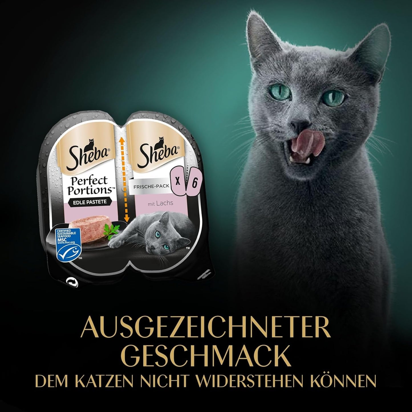 SHEBA Perfect PORTIONS paté för katter med lax, MSC-certifierad, 8 x 3 x (2 x 37,5g) = 225g (Förpackningen kommer att uppdateras)