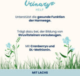 almo nature Functional Urinary Help - Våtfoder för vuxna katter med lax - Stödjer urinvägarnas hälsa - 30 påsar à 70 g vardera