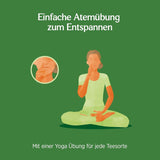 Yogi Tea - Tulsi Serenity Organic Herbal Ayurvedic Tea Nature's Koffein Free Tulsi Blend "Holy" Basil Lakrits & Orange Yogi Tea 3-pack 3X17 tepåsar (51 tepåsar)