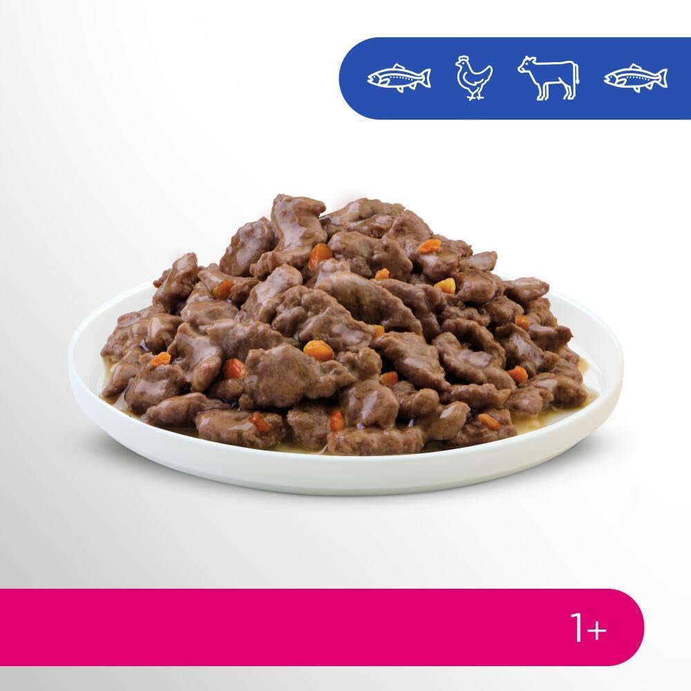 Perfect Fit Vuxen 1+ våtfoderval med lax, djuphavsfisk, nötkött och kyckling, 48 påsar, 12x85g (paket med 4) - Premium våtfoder för vuxna katter från 1 års ålder