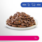 Perfect Fit Vuxen 1+ våtfoderval med lax, djuphavsfisk, nötkött och kyckling, 48 påsar, 12x85g (paket med 4) - Premium våtfoder för vuxna katter från 1 års ålder