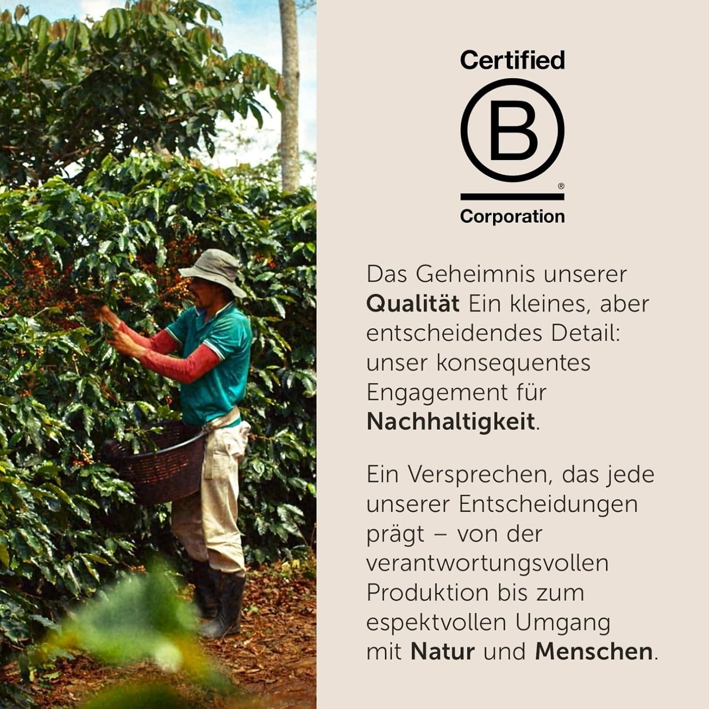 illy, Kaffeebohnen Arabica Selection Costa Rica, 100% Arabica med karamell-, Schokoladen- och Vanillenoten, süßer Gesmack, 1 Dos mit 250g