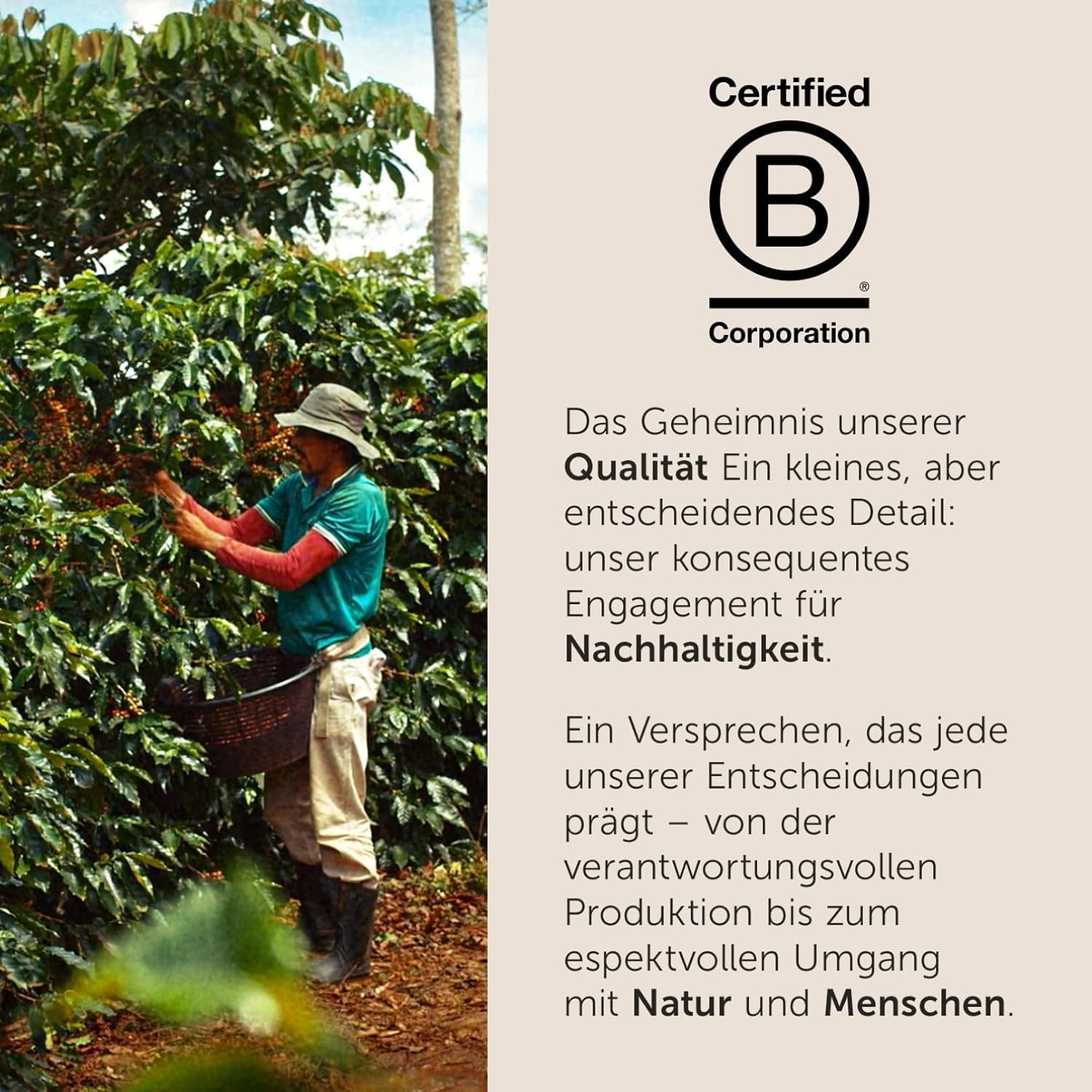 illy, Kaffeebohnen Arabica Selection Costa Rica, 100% Arabica med karamell-, Schokoladen- och Vanillenoten, süßer Gesmack, 1 Dos mit 250g