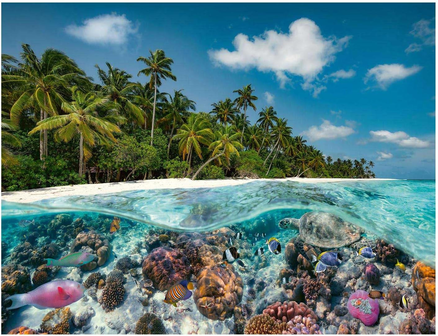 Ravensburger Puzzle 17441 A Dive in the Maldives - 2000-bitars pussel för vuxna och barn från 14 år och uppåt Puzzle Naty Shop