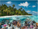 Ravensburger Puzzle 17441 A Dive in the Maldives - 2000-bitars pussel för vuxna och barn från 14 år och uppåt Puzzle Naty Shop