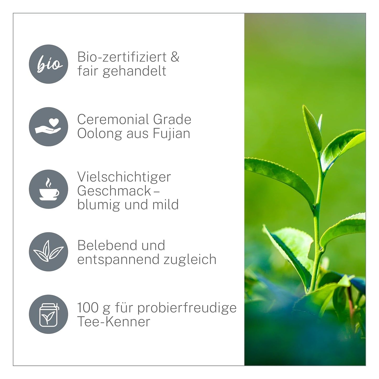 Ti Guan Yin Bio Oolong Tea 100g - Högkvalitativt ekologiskt Oolong-te från Kina - Wu Long (ceremoniell kvalitet) - För teälskare och kännare - Mycupoftea
