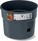 Prosperplast tomatplantakrukor med spaljé – Kraftig plastkruka | Antracit | Väder- och UV-beständig | 29,5 x 115,2 cm | Perfekt för trädgården och terrassen