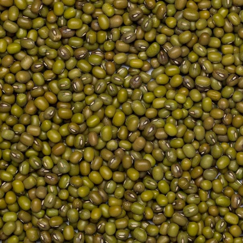 Wholefood Earth Organic Mung Beans 2kg | Icke-GMO | Vegan | Rik på fibrer | Rik på protein | Certifierad ekologisk