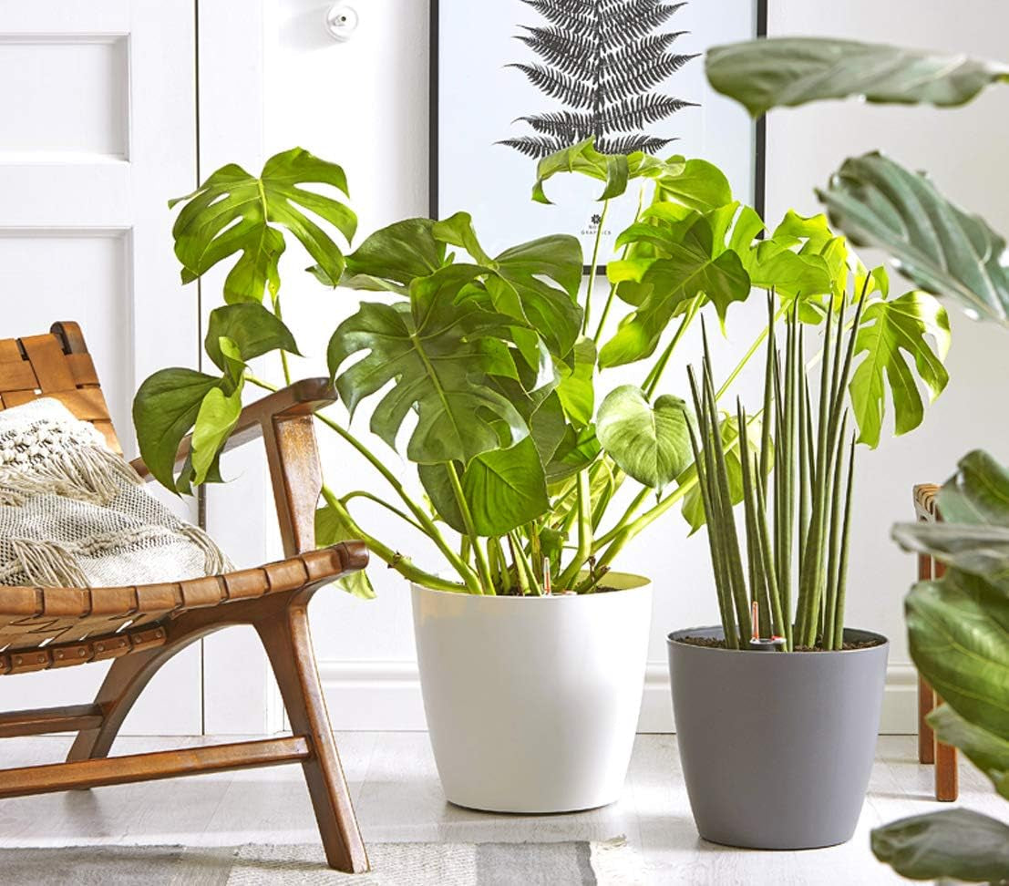 Dehner Mila blomkruka med självvattningssystem, Ø 30 cm, höjd 26 cm, plast, vit
