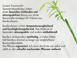 Traumnacht Bambukudde med bambufibrer, hypoallergen, antibakteriell Kuddset med dragkedja, bestående av 2 kuddar 40X80Cm, Oeko-Tex certifierad, utvecklad i Tyskland Naty Shop standardkuddar