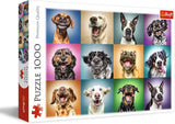Pussel - "1000" - Roliga hundporträtt Pussel Naty Shop Roliga hundporträtt