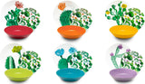 Excelsa Color Cactus servisset, 18 delar, flerfärgad