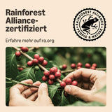 av Amazon Lungo Kaffee-Kunststoffkapseln, Nespresso-kompatibel, 20 Stück, Packung mit 1 – Rainforest Alliance-zertifiziert