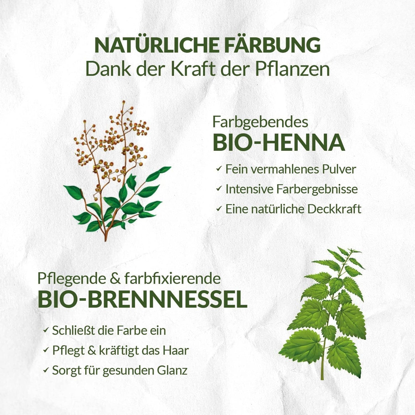 LOGONA Natural Cosmetics Örtvårdande hårfärgningsmedel, organiskt hennapulver Vegansk hårfärg för intensiv färg och glans, örtfärgat hårfärg i kopparblond (blond), 1 x 100 g Naty Shop hårfärgning